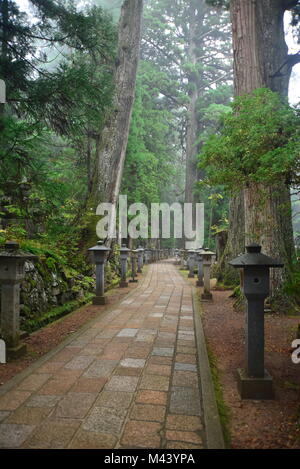 Incredibile e Koyosan spirituale, a piedi l'antica millenaria Kumano Kodo'Nakahechi route' ( il sentiero imperiale ) Kii Peninsula, Giappone meridionale Foto Stock