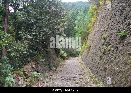 Incredibile e spirituale, il Giappone a piedi l'antica millenaria Kumano Kodo'Nakahechi route' noto come il sentiero imperiale Kii Peninsula, Giappone meridionale Foto Stock