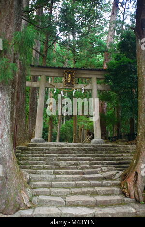 Incredibile e Nachisan spirituale, a piedi l'antica millenaria Kumano Kodo'Nakahechi route' ( sentiero imperiale ) Kii Peninsula, Giappone meridionale Foto Stock