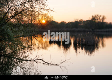 Sunset,Herbslebener Teiche riserva naturale,Turingia,Germania Foto Stock