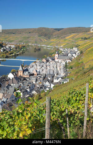 Vista da vigneti di Zell a Moselle,Renania-Palatinato, Germania Foto Stock