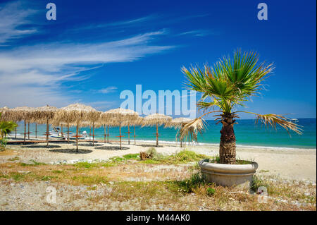 Reed ombrelloni sulla spiaggia Foto Stock