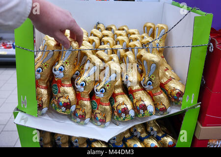 Coniglietto di pasqua anche chiamato la Pasqua di coniglio o di lepre di Pasqua Foto Stock