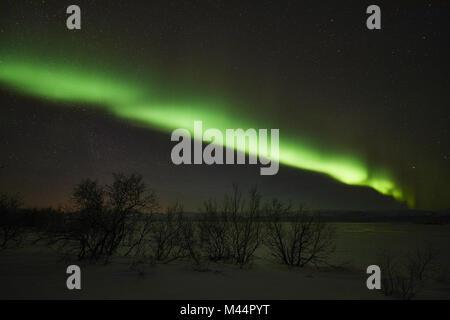 Luci del nord, Lago Tornetraesk, Lapponia, Svezia Foto Stock