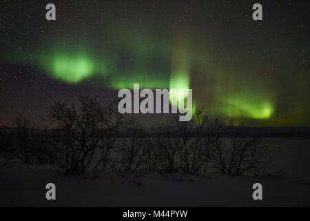 Luci del nord, Lago Tornetraesk, Lapponia, Svezia Foto Stock