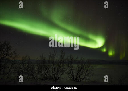 Luci del nord, Lago Tornetraesk, Lapponia, Svezia Foto Stock