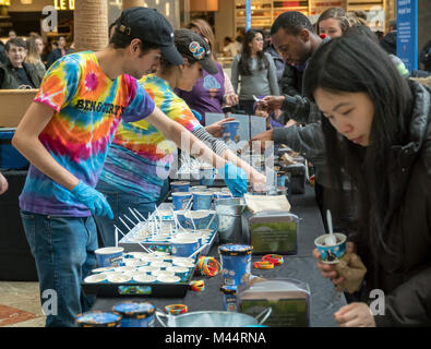 Migliaia di gelato amanti invadere il luogo di Brookfield giardino d'inverno per Ben & Jerry's nuove creazioni Launch Party a New York il Mercoledì, 7 febbraio 2018. Il branding evento presenta una nuova linea di prodotti per Unilever è Ben & Jerry's con solo 140-160 calorie per porzione. Chiamato Moo-phoria, alla luce gelato la linea viene fornito in tre gusti " cioccolato al latte e biscotti', Caramello Cookie Fix' e 'P.B. Impasto', organici e realizzati con i prodotti non OGM ingredienti. La linea di prodotti è una risposta alla popolare alo Top che guadagnando quote di mercato. (© Richard B. Levine) Foto Stock