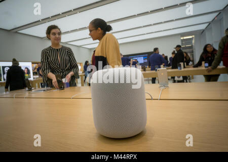 Il nuovo Apple HomePod viene visualizzato in Apple store nel World Trade Center Oculus in New York venerdì, 9 febbraio 2018, primo giorno che è andato in vendita. La nuova smart speaker, atteso da Apple aficionados, vende per $ 349, considerevolmente più di concorrenti come Amazon eco e funziona solo collegato a un dispositivo iOs all'interno dell'ecosistema Apple. (Â© Richard B. Levine) Foto Stock