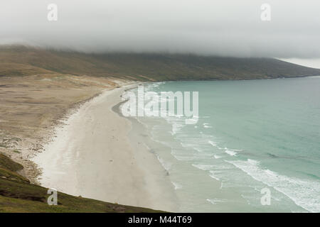 Una vista di una ampia spiaggia con i pinguini e verde pallido acque dell'Oceano Atlantico. Fotografato da sopra a Saunders Island nelle isole Falkland. Foto Stock