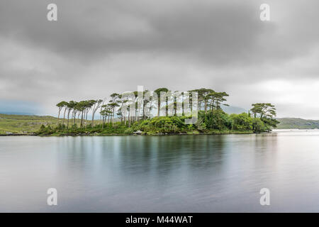 Pine Island sul Lago Derryclare. Connemara, Co. Galway, Connacht provincia, Irlanda. Foto Stock