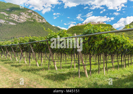 Vista sul Castello di Beseno, la più grande fortezza feudale in tutto il distretto del Trentino, Italia Foto Stock