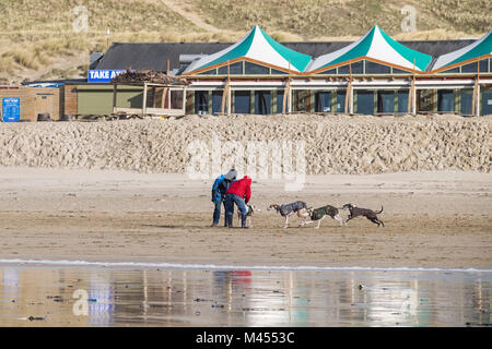 Dog walker e i loro cani sulla spiaggia a Perranporth in Cornwall Regno Unito. Foto Stock