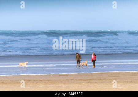 Dog walkers sulla spiaggia a Perranporth in Cornwall Regno Unito. Foto Stock