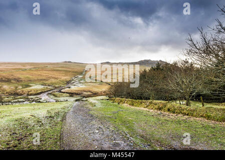 Meteo invernale al ruvido Tor su Bodmin Moor in Cornovaglia. Foto Stock