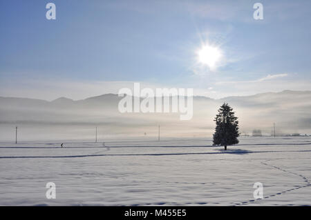Inverno a Pian Cansiglio, Farra d'Alpago, Belluno, Veneto, Italia Foto Stock