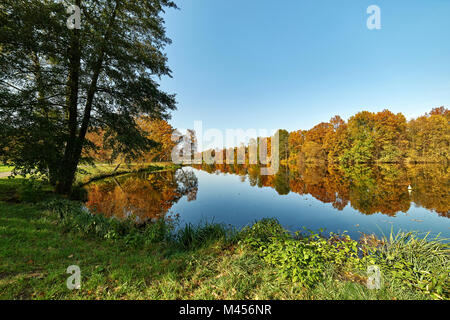 Soleggiato paesaggio autunnale - un parco in colori dorati, un pittoresco laghetto con una fila di riflettente di ingiallito alberi Foto Stock