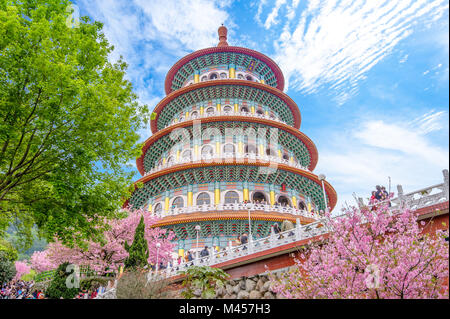 Tien-Yuan tempio con la fioritura dei ciliegi in Taipei Foto Stock