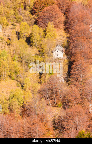 Casa isolata nascosto tra gli alberi colorati in autunno, la Val Vigezzo, Verbano Cusio Ossola provincia, Piemonte, Italia del Nord, Italia Foto Stock