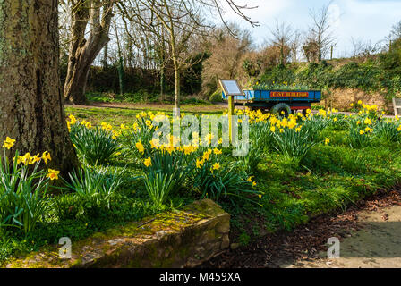 Il cancelletto a East Budleigh. Foto Stock