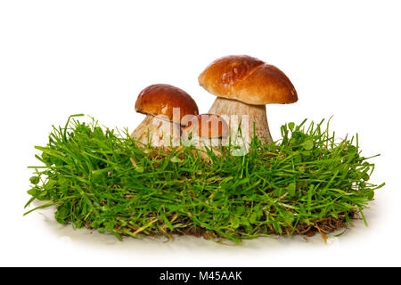 Tre i funghi isolati su uno sfondo bianco. Foto Stock