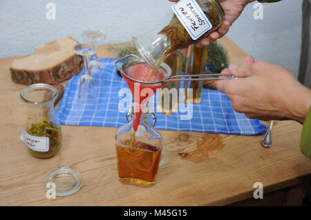 Picea abies, Abete rosso, Spiritus fatta di germogli di abete rosso Foto Stock