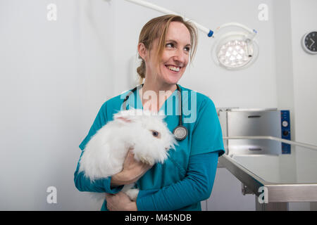 I veterinari che trasportano il coniglio d'angora Foto Stock