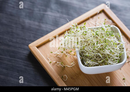 I germogli di erba medica nella ciotola bianco su un vassoio in legno Foto Stock