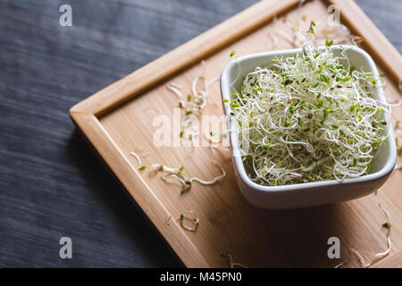 I germogli di erba medica nella ciotola bianco su un vassoio in legno Foto Stock