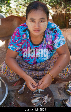 Locale donna birmano con thanaka incollare sul suo viso la vendita di pesce locale in Myanmar Foto Stock