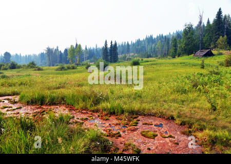 Wildnerness canadese nel Grey Park,, British Columbia, Canada. Foto Stock