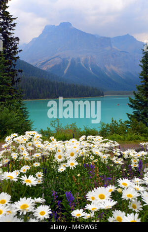 Il Lago di Smeraldo, con colorati fiori estivi, Banff, Canadian Rockies. Vista leggermente sottomesso dagli incendi di agosto 2017 Foto Stock