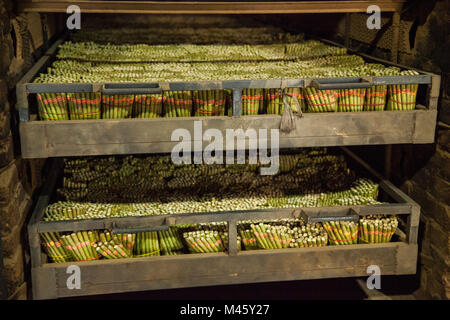 Fabbrica di Sigari in Myanmar Foto Stock