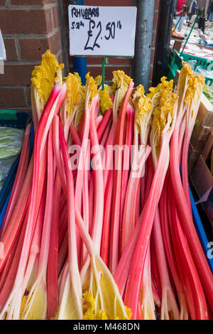 Buona qualità arly stagione rabarbaro in vendita in North Yorkshire in febbraio al prezzo di â€2,50 per libbra o â€5.50 kg Foto Stock