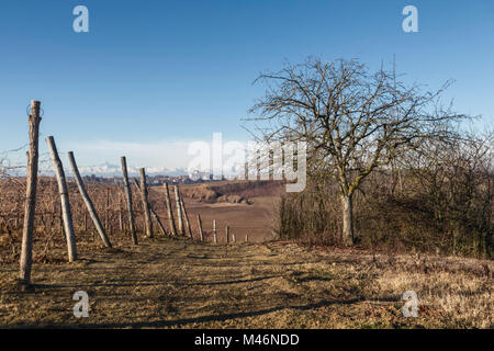 Monferrato Astigiano, Piemonte, Italia. Monferrato regione del vino Foto Stock