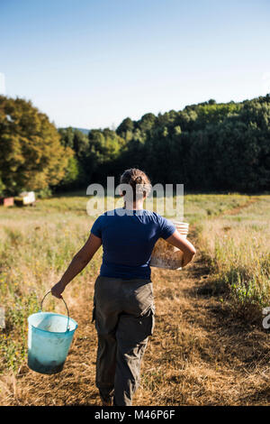 Azienda giovane lavoratore andando ad alimentare i suini Foto Stock