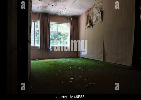 Vista dalla porta in camera con il nero della muffa sul soffitto e Moss sul pavimento in un edificio abbandonato Foto Stock