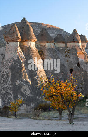 Formazioni di roccia vulcanica e Camini di Fata in Cappadocia, Turchia. Foto Stock