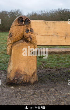 Panca in legno con intricati intagli dei gufi a Bramshot Agriturismo Country Park vicino a Fleet in Hampshire, Regno Unito, un sito di alternativa greenspace naturale, cantava Foto Stock