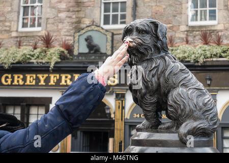 Donna strofinando il naso di Greyfriars Bobby per fortuna - una tradizione recente che danneggia la scultura, Edimburgo, Scozia, Regno Unito Foto Stock