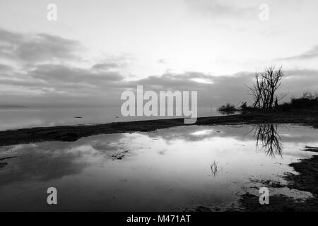 Un lago all'alba, con bellissimo albero e cielo riflessi sull'acqua Foto Stock