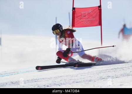 Pyeongchang, Corea del Sud. 15 Feb, 2018. Arabella Caroline Yili da Hong Kong in azione durante la donna lo sci alpino evento del 2018 Olimpiadi invernali nel Yongpyong Alpine Center in Pyeongchang, Corea del Sud, 15 febbraio 2018. Credito: Michael Kappeler/dpa/Alamy Live News Foto Stock