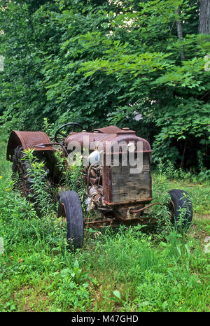 Un vecchio, arrugginita Fordson trattore si trova abbandonato in un campo e sta diventando ricoperta da erbacce. Foto Stock