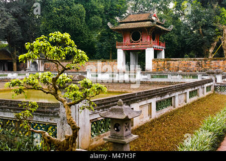 Tempio della Letteratura di Hanoi con albero di bonsai Foto Stock