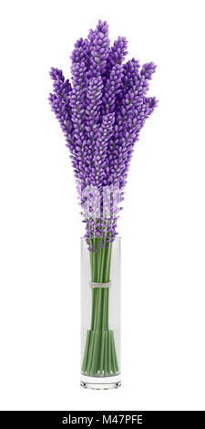 Lupino viola fiori in vaso di vetro isolato su sfondo bianco Foto Stock