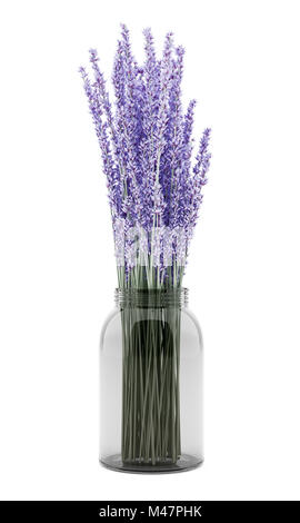 Lupino viola fiori in vaso di vetro isolato su sfondo bianco Foto Stock