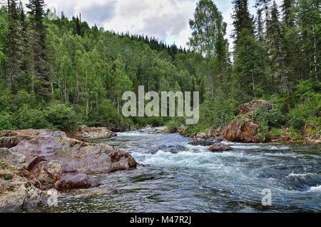 Che scorre veloce fiume di montagna tra fitti boschi e grandi pietre Foto Stock