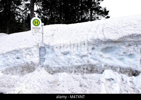 Inverno sul Unterstmatt Foresta Nera in Germania Foto Stock