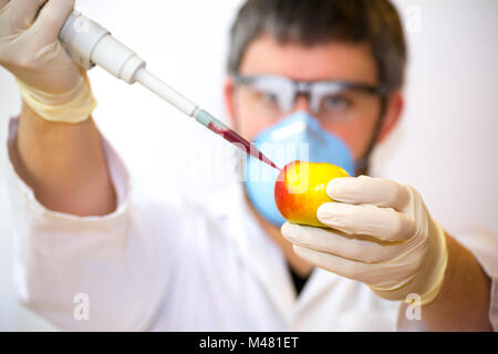 Scienziato creazione di OGM mele Foto Stock