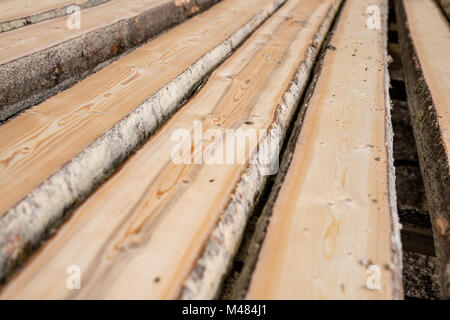 A segheria. Immagine di assi di legno che giace nella riga Foto Stock