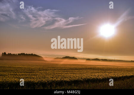 Golden Sunrise presso il campo Foto Stock
